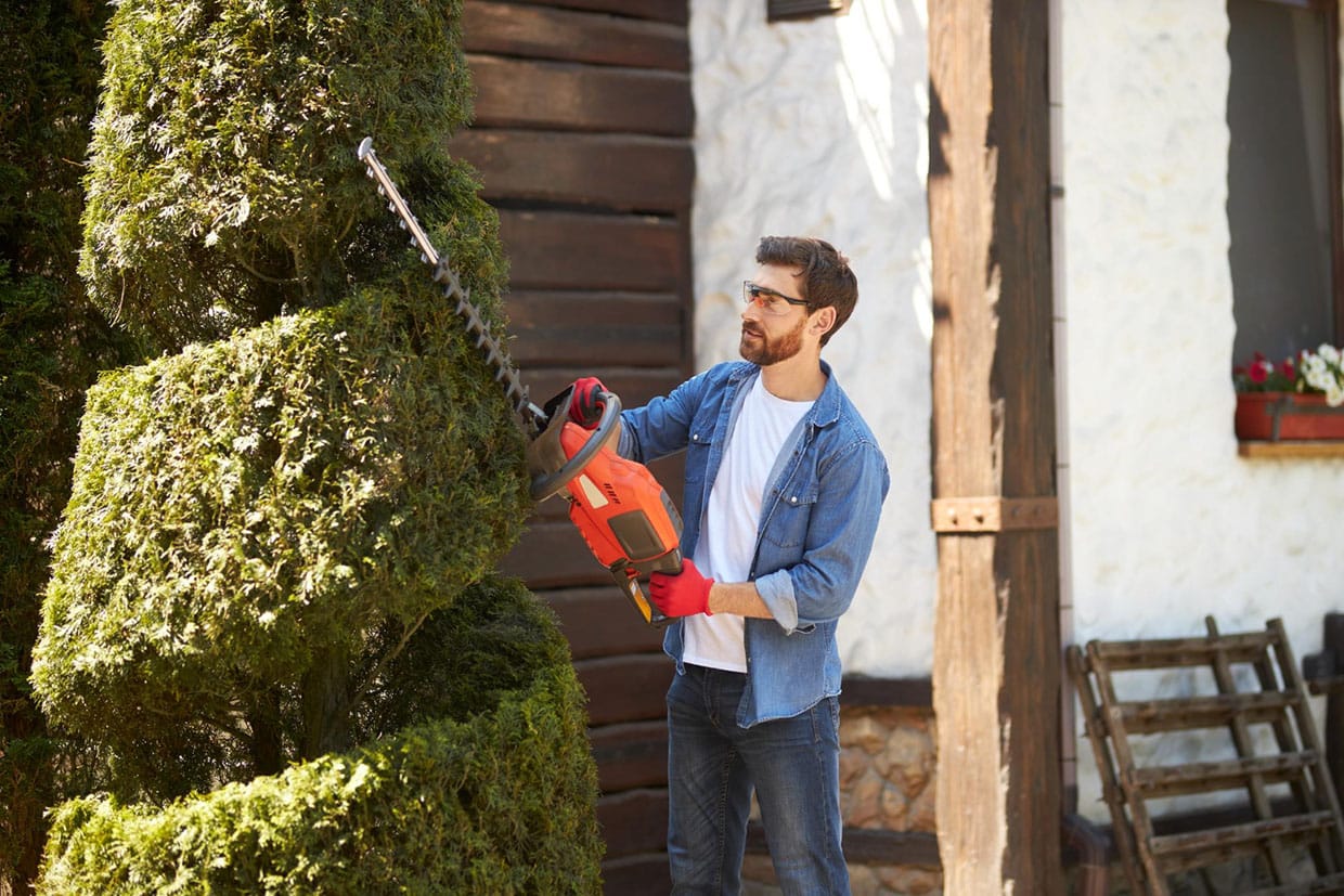 Man wearing safety glasses trimming a spiral evergreen tree as part of seasonal outdoor space maintenance.