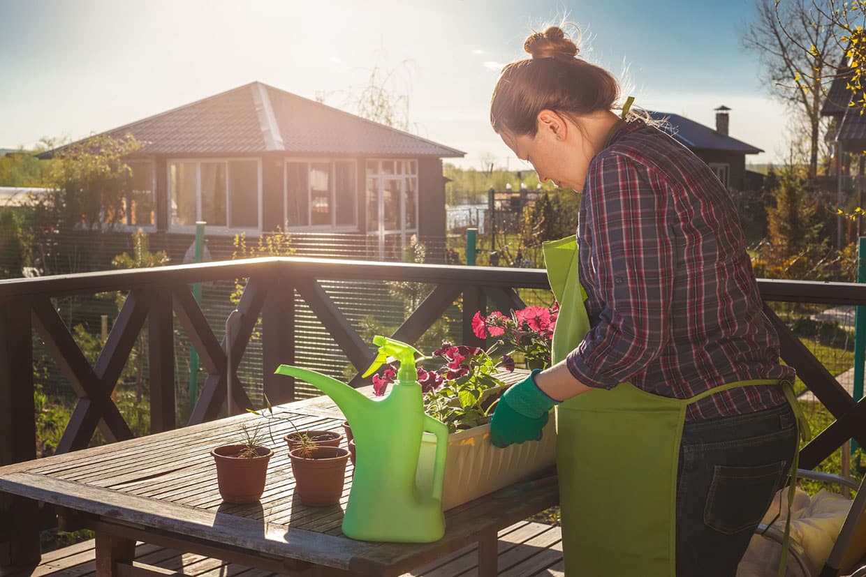 Woman planting pink flowers in a railing planter during spring deck cleaning and preparation.