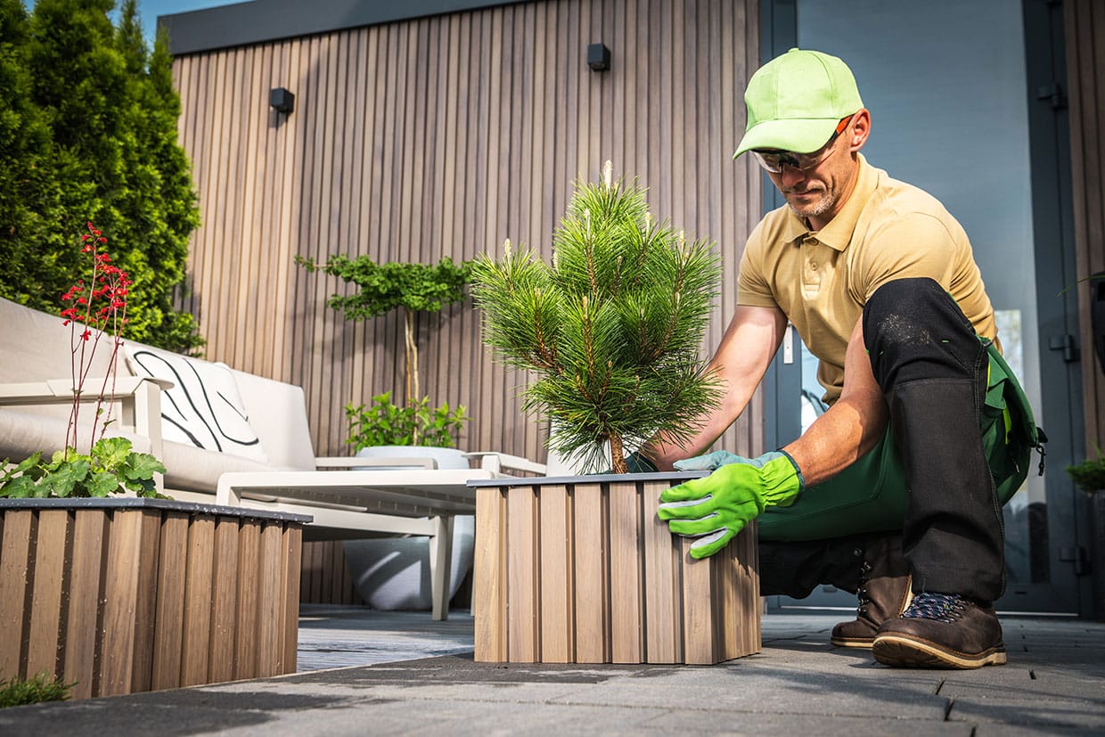 A man positioning a square wooden planter containing a small evergreen tree as part of seasonal deck decor updates.