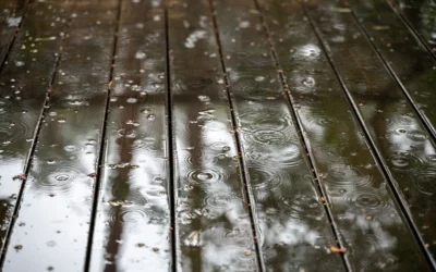Rainwater pooling on a well-maintained deck, emphasizing the importance of deck waterproofing.