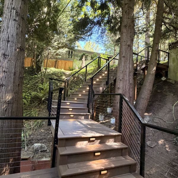 Wide Shot Of A Long Composite Staircase Ascending Through Tall Pine Trees In A Backyard.