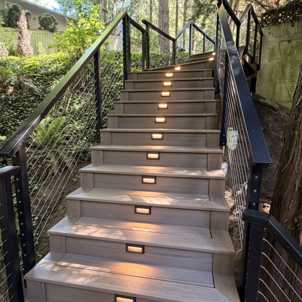 Full Upward View Of A Long Composite Staircase Built Around Trees On A Steep Hill.
